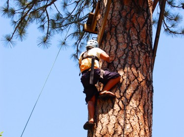 High Ropes: Leap of Faith Element