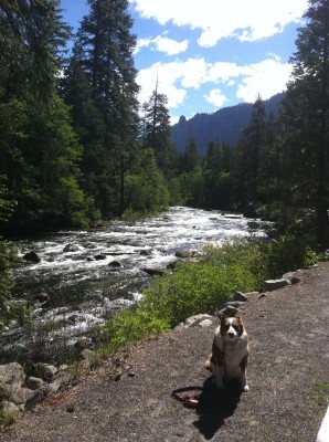 Charlie wants this river to remain Wild and Scenic. What river is it?