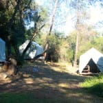 Canvas Cabin Tents: F, H, G