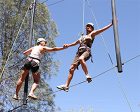High Ropes: Pipe Dream Element