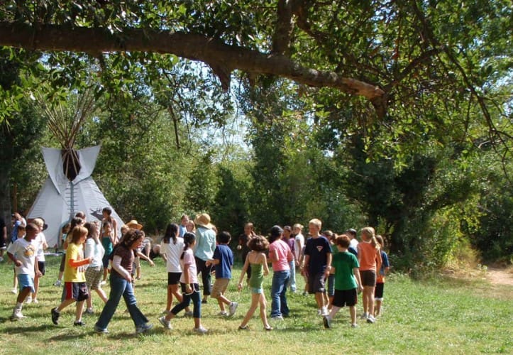 low ropes - outdoor education program
